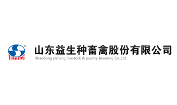 煙(yān)台網站(zhàn)建設
